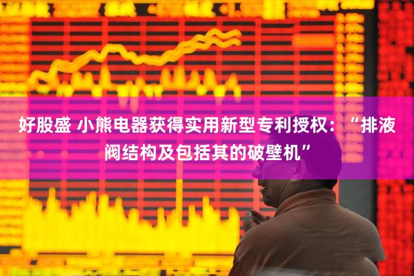 好股盛 小熊电器获得实用新型专利授权：“排液阀结构及包括其的破壁机”