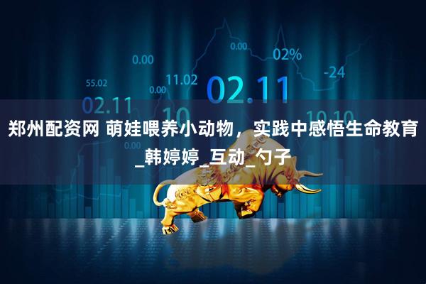 郑州配资网 萌娃喂养小动物，实践中感悟生命教育_韩婷婷_互动_勺子