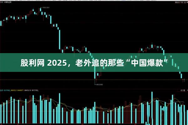 股利网 2025，老外追的那些“中国爆款”